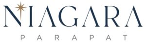 logo niagara