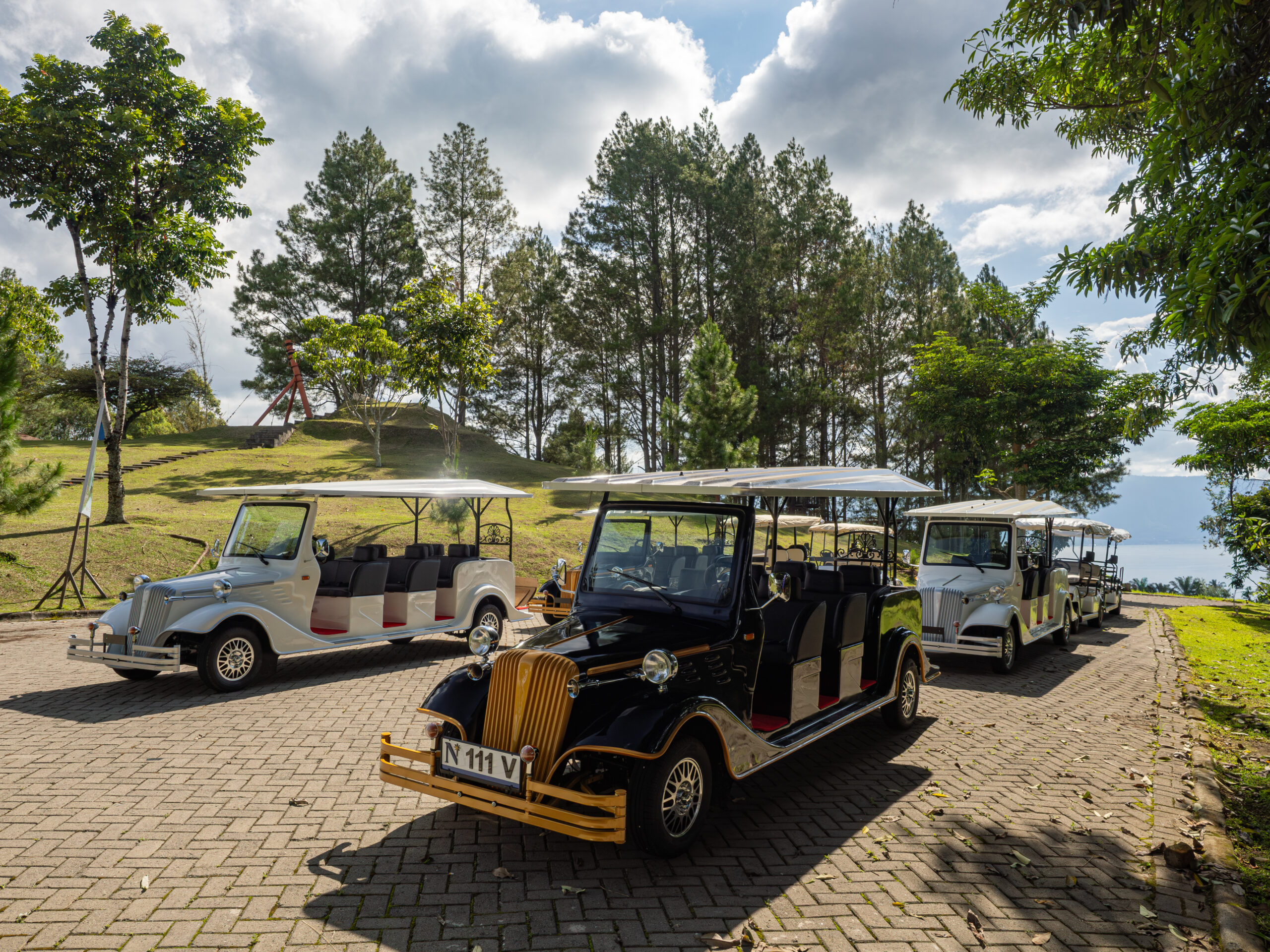 Buggy at Niagara Hotel